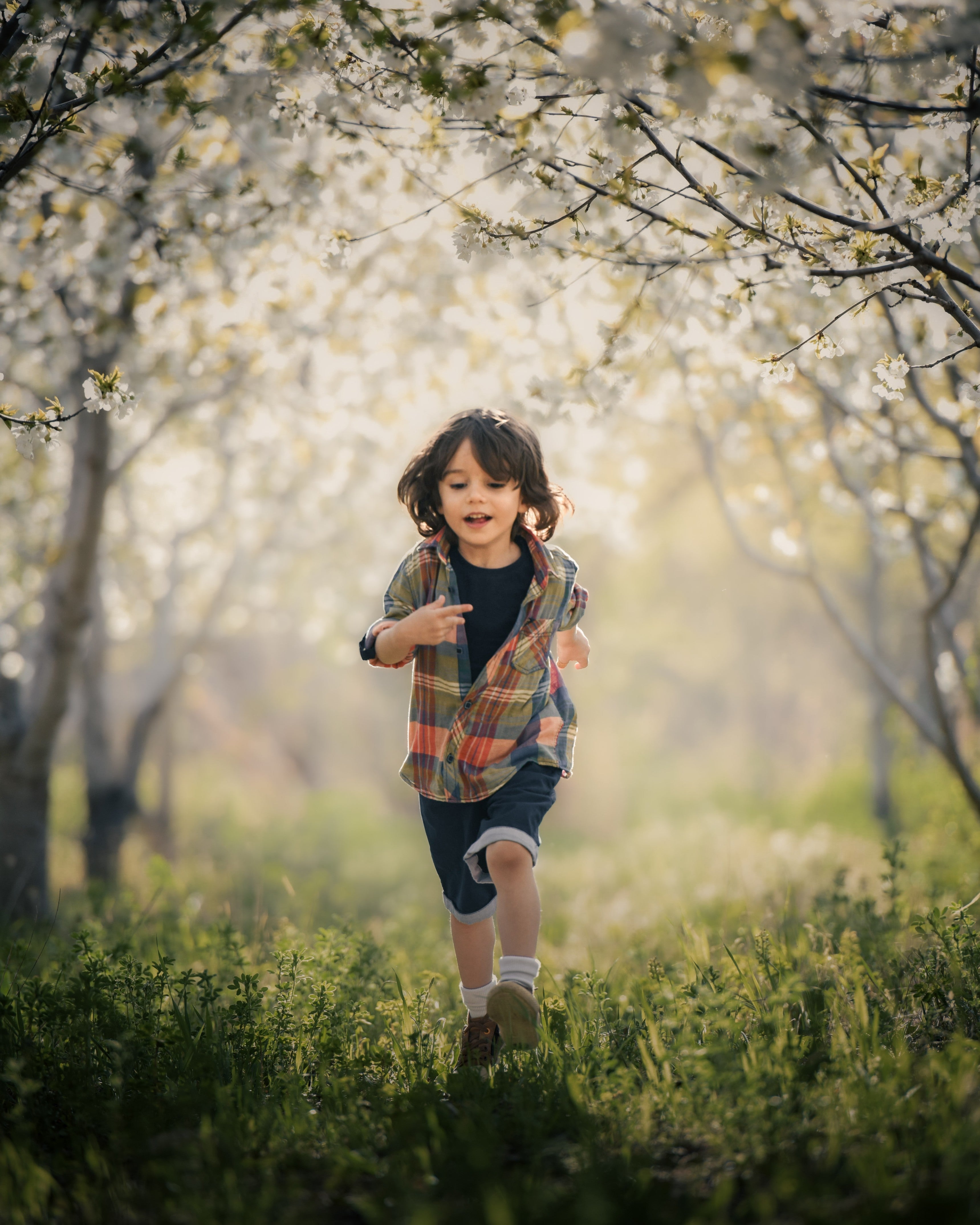 Cinematic Pack [30 Presets]