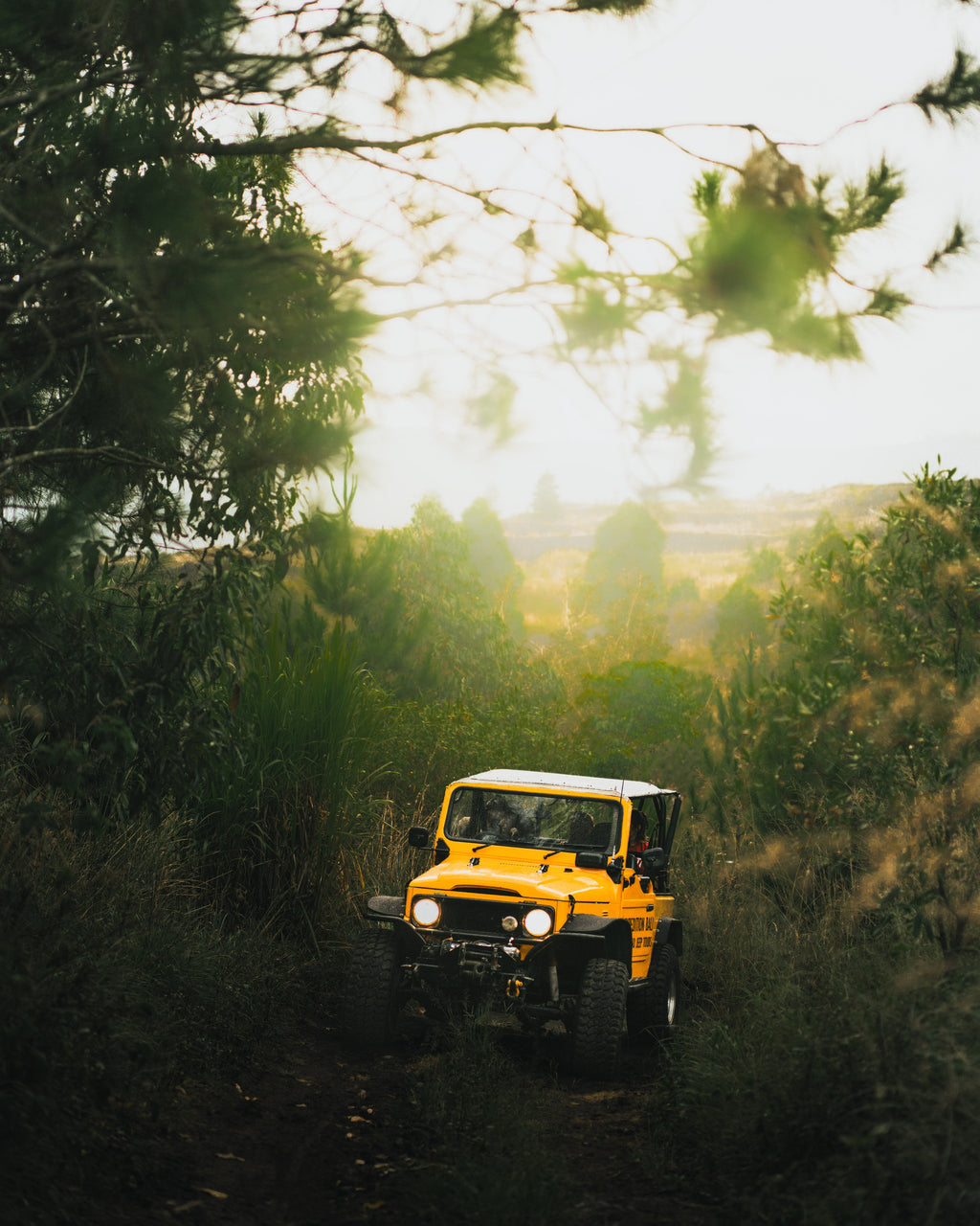 Cinematic Pack [30 Presets]