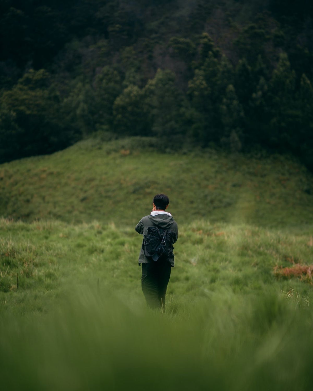 <h2><strong>Loved by everyone, everywhere. </strong></h2>