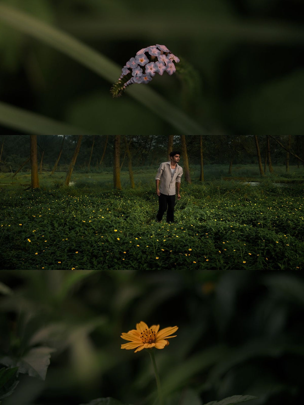 <h2><strong>Loved by everyone, everywhere. </strong></h2>