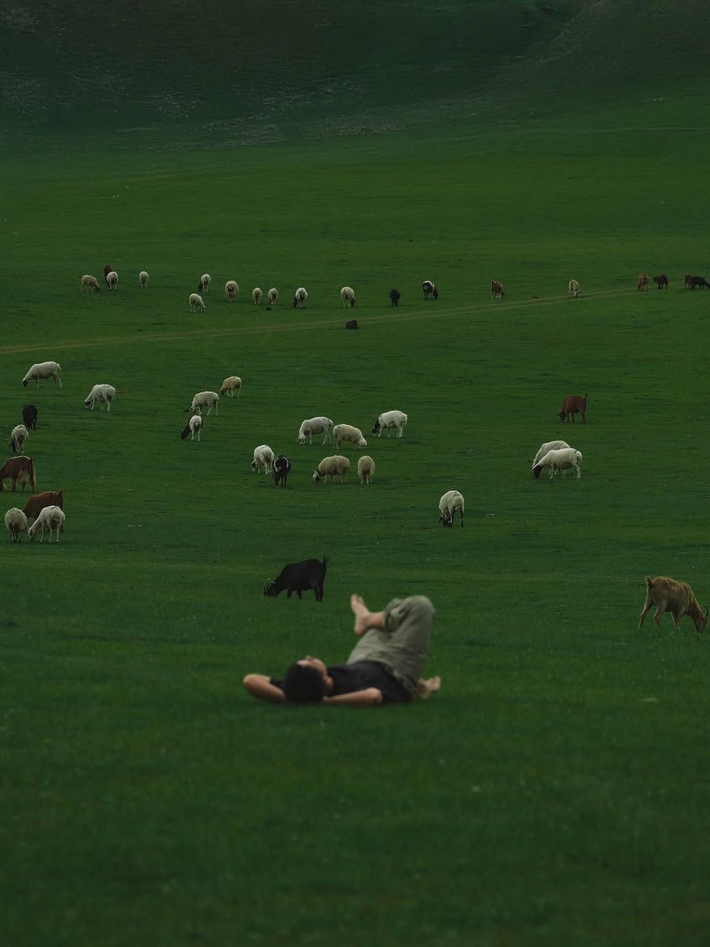 <h2><strong>Loved by everyone, everywhere. </strong></h2>