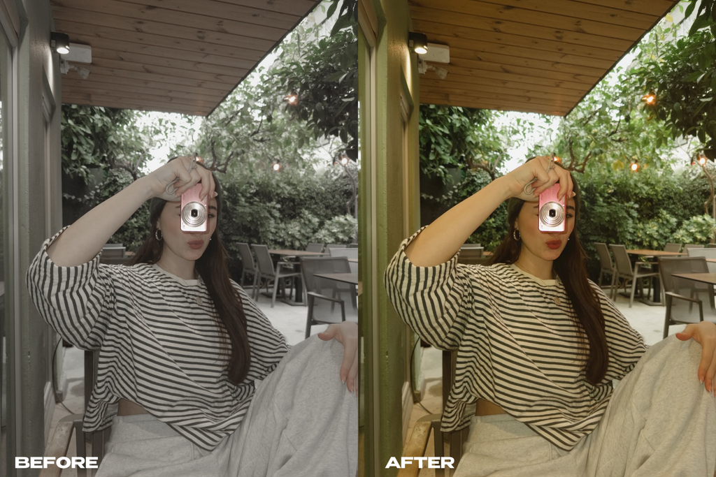 20 INFLUENCER STYLE PRESETS