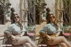 20 INFLUENCER STYLE PRESETS
